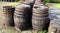 old scotch/whisky barrels