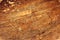 Old scratched cracked varnished wooden veneer texture background