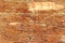 Old scratched cracked varnished wooden veneer texture background