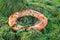 Old scratched Life buoy lying in the field in Ireland