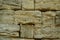 Old seashell stone wall background close up