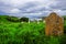 Old Seaside Graveyard