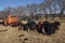 Old semi cab and trailer abandoned in a cattle pasture.