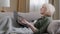 Old senior Caucasian gray haired female sit on couch covered with blanket typing laptop write email in web computer