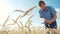 Old senior man farmer with digital tablet working in field smart farm in a field with wheat. agriculture concept