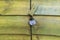 Old shabby green wooden doors with a metal lock. Detail, close-up