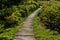 Old shabby planks on floor of courtyard path with landscape decor from wooden path.