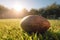 Old shabby rugby ball lies on the green grass in the sun