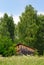 Old shed in the forest