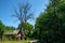 Old shed near the dry dead tree located in the village