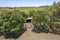 An Old Shed Standing Amongst Trees, Aerial View