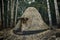 Old Shelter Shaped Like A Cone in Etna Park, Sicily