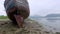 Old ship wreck in Fort William, Scotland