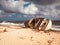 Old ship wreck, stranded boat on beach - vintage style -