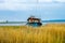 Old shipwreck near Lubczyna in Poland. Landscape with an abandoned capsized boat.