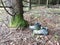 Old shoe in forest