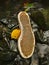 Old shoe sole in blurred clear water of mountain river, autumn colors.Garbage or rubbish in nature.