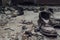 Old shoes on a dusty floor in a war-torn house, ruined dark building inside interior, aftermath of disasters concept