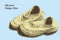 Old shoes vintage engraving style detailed illustration