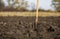 An old shovel stands in the broken ground during the seasonal autumn agricultural work