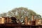 Old Siam Temple mahathat wat, of Ayutthaya, UNESCO word heritage of thailand