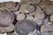 Old silver American coins