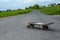 A old skateboard stands on a lonely country road