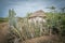 An old Slave hut - cactus fence Curacao Views