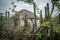 An old Slave hut - cactus fence Curacao Views