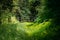 Old small decorative bridge in summer garden park forest.