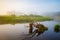 Old snag in the river and foggy summer morning background