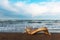 Old snag on sea coast, rainbow