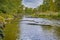 Old Snags Floating With Fallen Trees in The Pripyat River and Dry Grass and Trees on Field of Polesye Natural Resort in Belarus