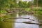 Old Snags Floating With Fallen Trees in The Pripyat River and Dry Grass and Trees on Field of Polesye Natural Resort in Belarus