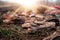 Old sneakers abandoned on gravel floor,Worn shoes,Soft focus