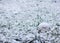 Old soccer ball, forgotten on the grass under the snow