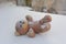 Old soft bear toy thrown into snow. Concept of uselessness, past childhood