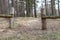 Old solid fence in the forest. The entrance gate on a forest road