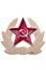 Old Soviet cockarde, soviet insignia.