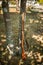 Old soviet rifle of World War II leaning against