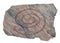 Old spiral petroglyph