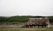 Old spooky scary horror abandoned house in a middle of nowhere