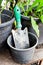 Old spoon shoveling and plastic vase .