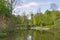 Old spring park with a pond and waterfall