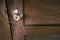 Old stainless door knob or handle on grunge wooden door