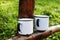 Old stainless mugs in the garden