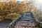 old stair bridge in park covered with yellow maple leaves.autumn concept