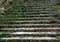 An old staircase , steps overgrown with green moss