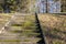 Old stairs covered with moss. Staircase in nature in the park on sunny tad. Trail.