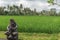 Old statue guarding the rice fields in bali